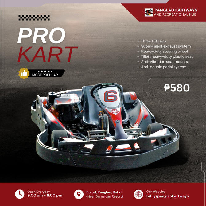 Pro Kart